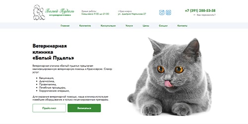 аренда сайта ветеринарной клиники красноярска